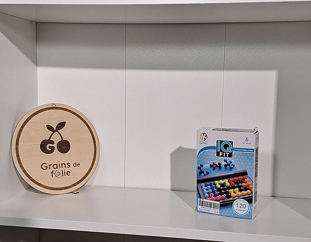 Smart Games - IQ Fit